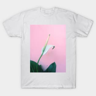 peace lily, lily, flower, peace, plant, white lily, calla lily, bloom, white, white flower, peace lily flower, spathiphyllum, peace flower, house plant, peace lily bloom T-Shirt